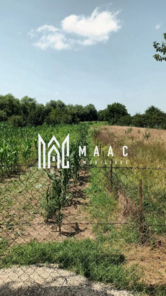 Vand teren intravilan | 1.638 mp | Bungard - MAAC Imobiliare vă oferă spre vânzare un teren intravilan situat în satul Bungard, județul Sibiu.

Detalii Teren:

Suprafață: 1638 mp
Deschidere: 27 m
Utilități:

Apă, gaz și canalizare la 50 de metri
Avantaje:

Terenul se poate parcela, oferind flexibilitate pentru diverse proiecte
Pentru mai multe detalii și pentru a programa o vizionare, vă rugăm să ne contactați precizând ID: CP2086407