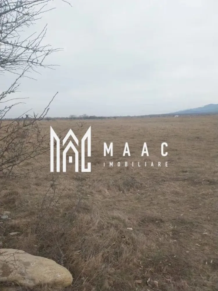 Teren intravilan I Valea Avrigului I 5000 mp - MAAC Imobiliare vă propune spre vânzare un teren intravilan în Avrig, zona Valea Avrigului, într-o zonă turistică, în continuă dezvoltare, cu o suprafata de 5000 mp, cu posibilitate de parcelare de minim 1000 mp.

Deschidere la drum principal 35 ml si la strada secundara de 45 ml. 

Zona este una cu potențial mare și o dezvoltare continua.

Pe teren, conform certificatului de urbanism, se poate construi P+2E+M.

Pentru mai multe detalii, precizati telefonic ca ati vazut anuntul cu ID: CP2078114