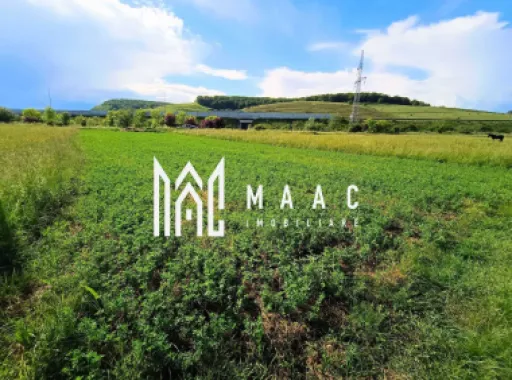 Logo MAAC IMOBILIARE logo