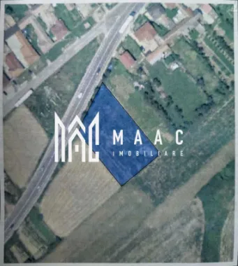 Logo MAAC IMOBILIARE logo