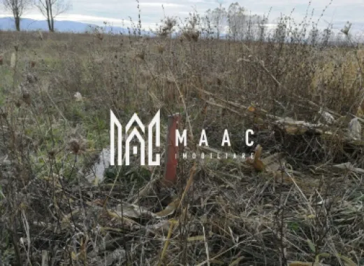 Teren intravilan I Zona Calea Surii Mici- Magnolia