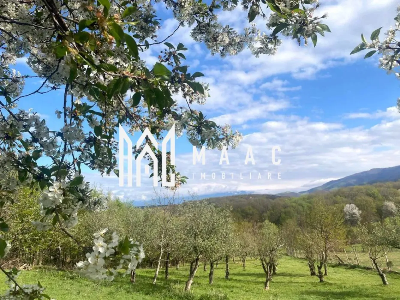 Teren intravilan I 3370 mp I PUZ pentru P+2 I Zona Cisnadie - Va propunem spre vanzare un teren intravilan, cu PUZ aprobat pentru P+1+M , situat in Zona de sud Cisnadie. Terenul , in suprafata de 3370mp, este impartit in 2 parcele: 1970mp, respectiv 1870mp. Se pot vinde si separat, caz in care pretul fiecarei parcele se negociaza separat. Utilitati- in proximitate. Zona in dezvoltare, pretabil investitie. Terenul are priveliste deosebita,spre Negoiu si Magura dar si spre cetatea Cisnadioarei. Pentru mai multe detalii precizati telefonic ca ati vazut anuntul cu ID: CP1954671