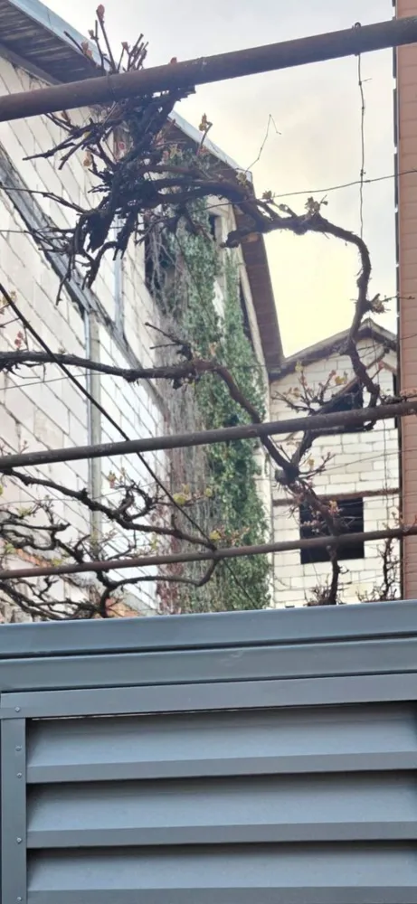 Proprietate exclusivistă cu potențial investițional remarcabil – zonă - Vă prezentăm o proprietate deosebită, tip casa individuala , amplasată într-o locație centrală premium, ideală pentru dezvoltare rezidențială sau investiție cu randament ridicat.

Imobilul are o suprafata de 900 mp , fiind dispus pe 3 nivele , la fiecare nivel avand o suprafata de 375 mp si este pozitionat pe un teren de 465 mp .

 Suprafata oferă un potențial excelent de reapartamentare, fiind potrivit pentru realizarea unui proiect rezidențial modern, apartamente tip boutique, spații premium de birouri sau activități în regim hotelier.

Poziționarea strategică, accesul facil și suprafața generoasă transformă această proprietate într-o oportunitate rară pe piață.

Caracteristici principale:
• teren intravilan
• amplasare centrală, într-o zonă cu valoare imobiliară ridicată;
• posibilitate de recompartimentare și dezvoltare;
• acces rapid către punctele de interes ale orașului;
• ideală pentru investitori și dezvoltatori.

O proprietate cu personalitate, ce îmbină avantajul locației cu un potențial de dezvoltare excepțional.

Detalii suplimentare și vizionări disponibile la cerere.