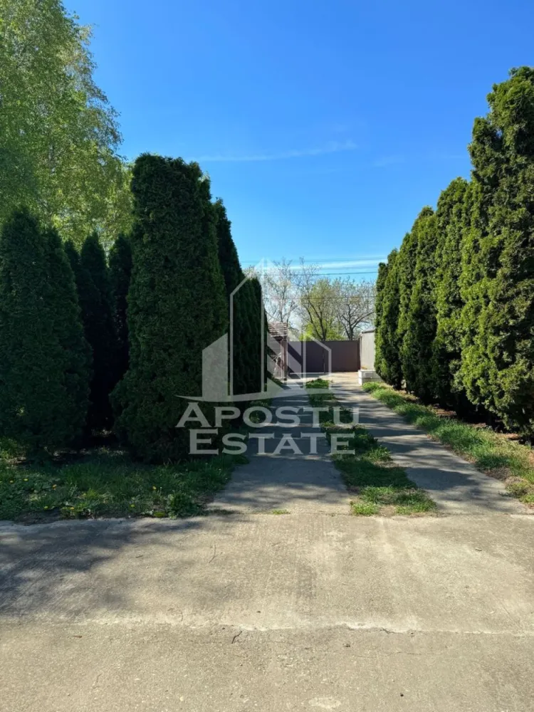 Casa de vanzare cu piscina si 5 camere in Dinias, Timis - Apostu Estate va propune spre vanzare o casa superba in localitatea Dinias, la 20 de km de Shopping City Timisoara. 
Gardul inalt de 3m in jurul proprietatii ofera sentimentul de intimitate, iar salcamii din curte si tuia maturi de 20 ani dau grandoare curtii.
Pentru confort maxim, imobilul beneciaza si de o piscina mare, aceasta necesitand reconditionare completa.
Imobilul este format din 2 constructii:
- Casa mare formata din 2 living-uri, 3 dormitoare, bucatarie si 2 bai cu o suprafata de 123.89 mp utili
- Bucatarie de vara formata din o camera, bucatarie si baie + pod locuibil cu o suprafata de 58.72 mp utili
Suprafata terenului este de-a dreptul generoasa - 1000 mp.
Confortul termic este asigurat de cetrala termica electrica cu incalzire prin calorifere, iar peretii grosi si izolatia asigura cheltuieli mici. 

Ar fi multe de spus despre aceasta proprietate, dar va invitam la o vizionare sa descoperiti toate avantajele pe care le ofera. 
ID intern: 2373208