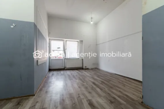 Locuință și Business pe Str. L. Blaga, Arad, Spațiu + Apartament
