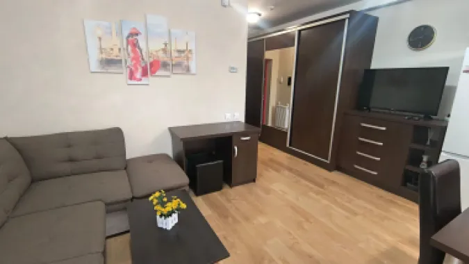 Apartament ARED cu 1 camera, St. O. Iosif, Oradea, 300 euro/luna