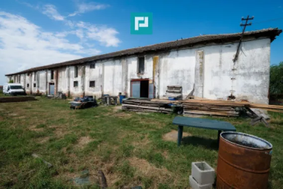 Hală industrială cu teren generos în Zărand, Arad