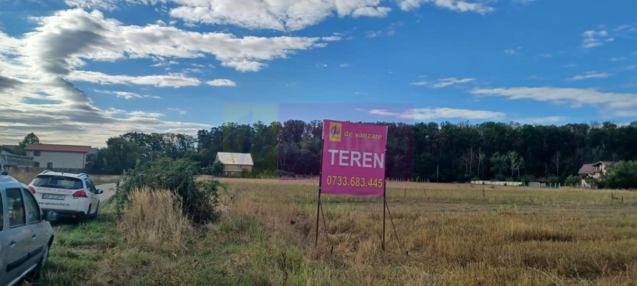 Gulia teren 11.157 mp, lângă Pădurea Cereanca - Terenul se află în vecinătatea Pădurii Cereanca, în localitatea Gulia, în apropiere de DN7, la 13 km de Bucuresti, cu acces prin Chitila, Buftea sau Săbăreni. Terenul se află într-o zonă rezidentială, cu locuințe tip parter sau P+1E, are suprafața de 11.157 mp si este alcătuit din 2 terenuri alăturate cu un front stradal de 37 m, pe str Codrului, la aproximativ 150-180 m de pădure. Prețul este 245.000 EUR, negociabil. Nu se plătește TVA sau comision.