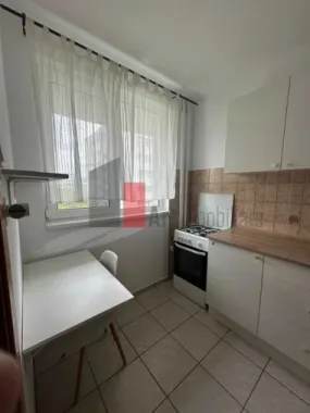 Apartament de inchiriat (pet friendly) cu 2 camere in zona Milahache/Chibrit