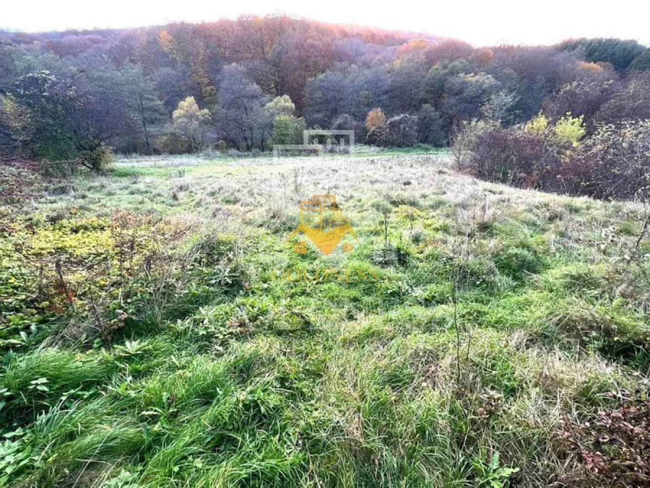 Teren intravilan, 1500 mp, zona Roata Faget - GOLDNESS Imobiliare va propune spre vanzare un teren de 1500 de mp intravilan, pe Drumul Sf Ioan.

Terenul are front la drum aproximativ de 20 de metri.
Terenul are toate actele.
Poate fii cumparat atata pentru investitie dar si pentru uz personal.
Zona in care este pozitionata parcela este la drumul principal, utilitatile fiind la aprox 3-400 metri.

Daca sunteti interesati de acesta oferta si doriti sa o vizionati, dar si pentru alte oferte sau detalii nu ezitati sa ne contactati telefonic sau prin e-mail. Va stam la dispozitie!