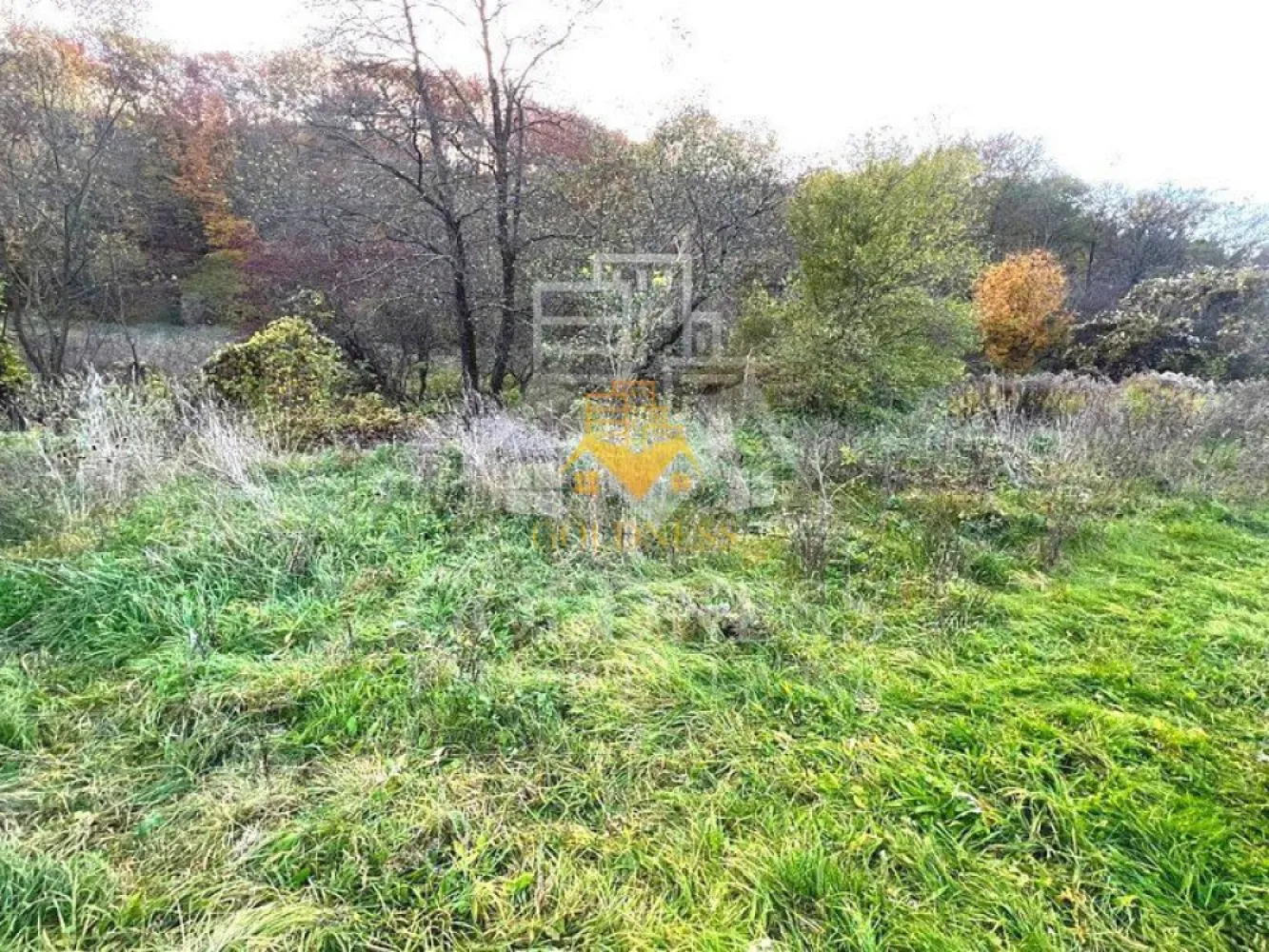 Teren intravilan, 1500 mp, zona Roata Faget - GOLDNESS Imobiliare va propune spre vanzare un teren de 1500 de mp intravilan, pe Drumul Sf Ioan.

Terenul are front la drum aproximativ de 20 de metri.
Terenul are toate actele.
Poate fii cumparat atata pentru investitie dar si pentru uz personal.
Zona in care este pozitionata parcela este la drumul principal, utilitatile fiind la aprox 3-400 metri.

Daca sunteti interesati de acesta oferta si doriti sa o vizionati, dar si pentru alte oferte sau detalii nu ezitati sa ne contactati telefonic sau prin e-mail. Va stam la dispozitie!