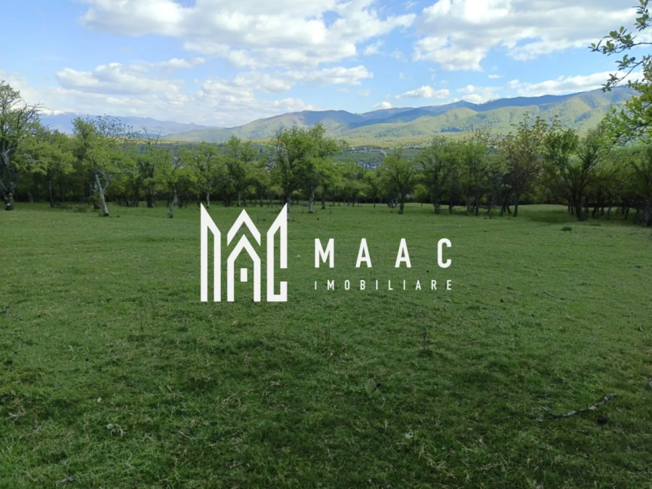Teren Extravilan I Cisnadie I 3.506 MP - MAAC Imobiliare vă propune spre vânzare un teren extravilan cu o suprafață de 3.506 mp, situat în Cisnădie, la aproximativ 1 km de drumul principal, într-o zonă liniștită, cu priveliște superbă și acces auto facil.

Detalii teren:

Suprafață: 3.506 mp
Teren extravilan
Formă dreptunghiulară
Acces auto foarte bun
Acces facil din drumul principal (aprox. 1 km)
Zonă cu peisaj natural deosebit

Avantaje:

Ideal pentru investiție pe termen mediu și lung
Zonă în continuă dezvoltare
Potențial ridicat de valorificare în viitor
Cadru natural liniștit, perfect pentru relaxare
Priveliște panoramică superbă asupra împrejurimilor

Pentru mai multe detalii și programarea unei vizionări, vă rugăm să ne contactați menționând ID: CP3065618.