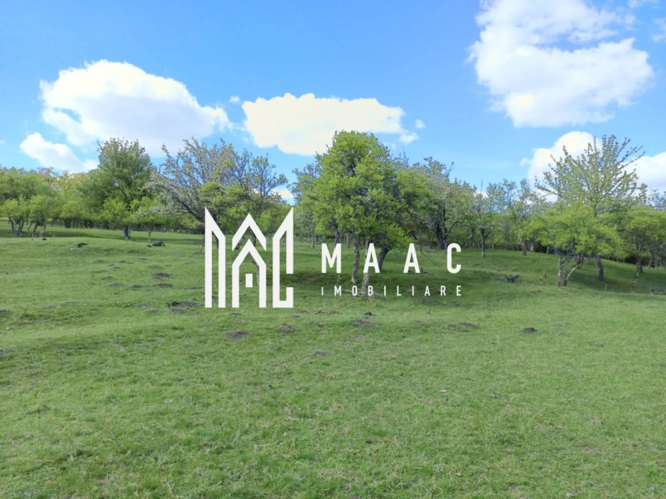 Teren Extravilan I Cisnadie I 3.506 MP - MAAC Imobiliare vă propune spre vânzare un teren extravilan cu o suprafață de 3.506 mp, situat în Cisnădie, la aproximativ 1 km de drumul principal, într-o zonă liniștită, cu priveliște superbă și acces auto facil.

Detalii teren:

Suprafață: 3.506 mp
Teren extravilan
Formă dreptunghiulară
Acces auto foarte bun
Acces facil din drumul principal (aprox. 1 km)
Zonă cu peisaj natural deosebit

Avantaje:

Ideal pentru investiție pe termen mediu și lung
Zonă în continuă dezvoltare
Potențial ridicat de valorificare în viitor
Cadru natural liniștit, perfect pentru relaxare
Priveliște panoramică superbă asupra împrejurimilor

Pentru mai multe detalii și programarea unei vizionări, vă rugăm să ne contactați menționând ID: CP3065618.