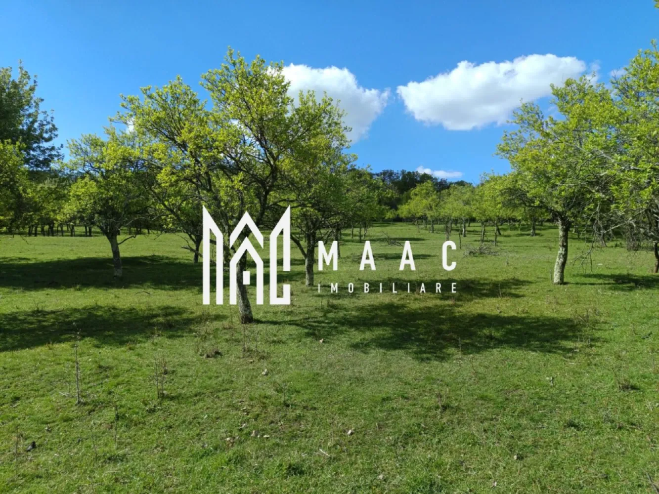 Teren Extravilan I Cisnadie I 3.506 MP - MAAC Imobiliare vă propune spre vânzare un teren extravilan cu o suprafață de 3.506 mp, situat în Cisnădie, la aproximativ 1 km de drumul principal, într-o zonă liniștită, cu priveliște superbă și acces auto facil.

Detalii teren:

Suprafață: 3.506 mp
Teren extravilan
Formă dreptunghiulară
Acces auto foarte bun
Acces facil din drumul principal (aprox. 1 km)
Zonă cu peisaj natural deosebit

Avantaje:

Ideal pentru investiție pe termen mediu și lung
Zonă în continuă dezvoltare
Potențial ridicat de valorificare în viitor
Cadru natural liniștit, perfect pentru relaxare
Priveliște panoramică superbă asupra împrejurimilor

Pentru mai multe detalii și programarea unei vizionări, vă rugăm să ne contactați menționând ID: CP3065618.