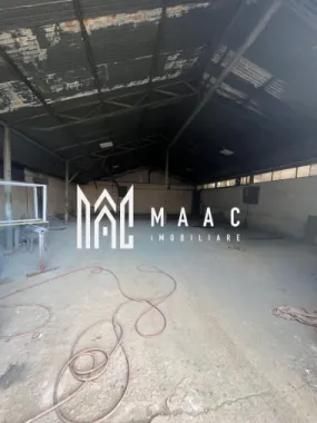 Hala | 380 MP | Teren 800 MP