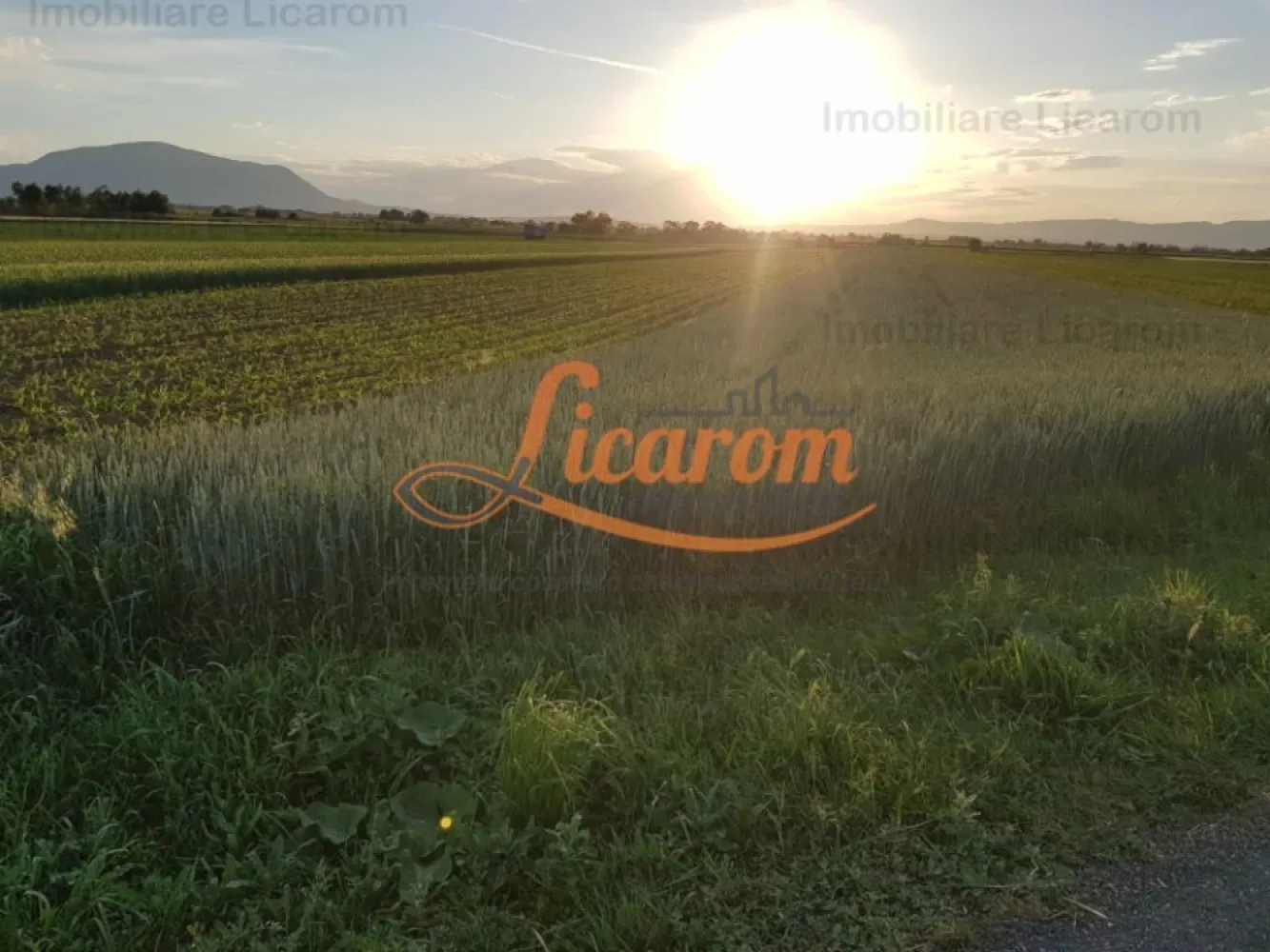 Teren Stupini Calea Feldioarei 11800 mp,25 euro/mp, front la asfalt-DN - Agentia Licarom Imobiliare propune spre vanzare un teren in suprafata de 11800 mp la iesirea din Brasov - Stupini, pe DN 13 .
Terenul este plan si are o deschidere la asfalt la E 60 de 44 ml. .
Zona pretabila SPALATORIE SELF SERVICE, SHOWROOM, HALE PT INDUSTRIE,sI ALTE TIPURI DE DEZVOLTARE IMOBILIARA (in apropiere se afla Cartierul de vile, exclusivist "STUPINII NOI") .
Momentan terenul este incadrat in categoria agricol extravilan ,existand posibiliatatea schimbarii destinatiei si incadrarii in intravilan, in baza realizarii unui PUZ .
In zona exista utilitati : curent electric,gaz,apa,peste drum fiind sediul unei firme mari.

Pretul este de 25 euro/ mp .
Pentru tranzactionarea acestei proprietati,agentia imobiliara percepe comision de 3%.

Pentru mai multe relatii si vizionari,nu ezitati sa ne contactati la telefon Consultant imobiliar Calin. 0741059397 si 0723985424 Consultant Imobiliar Liliana