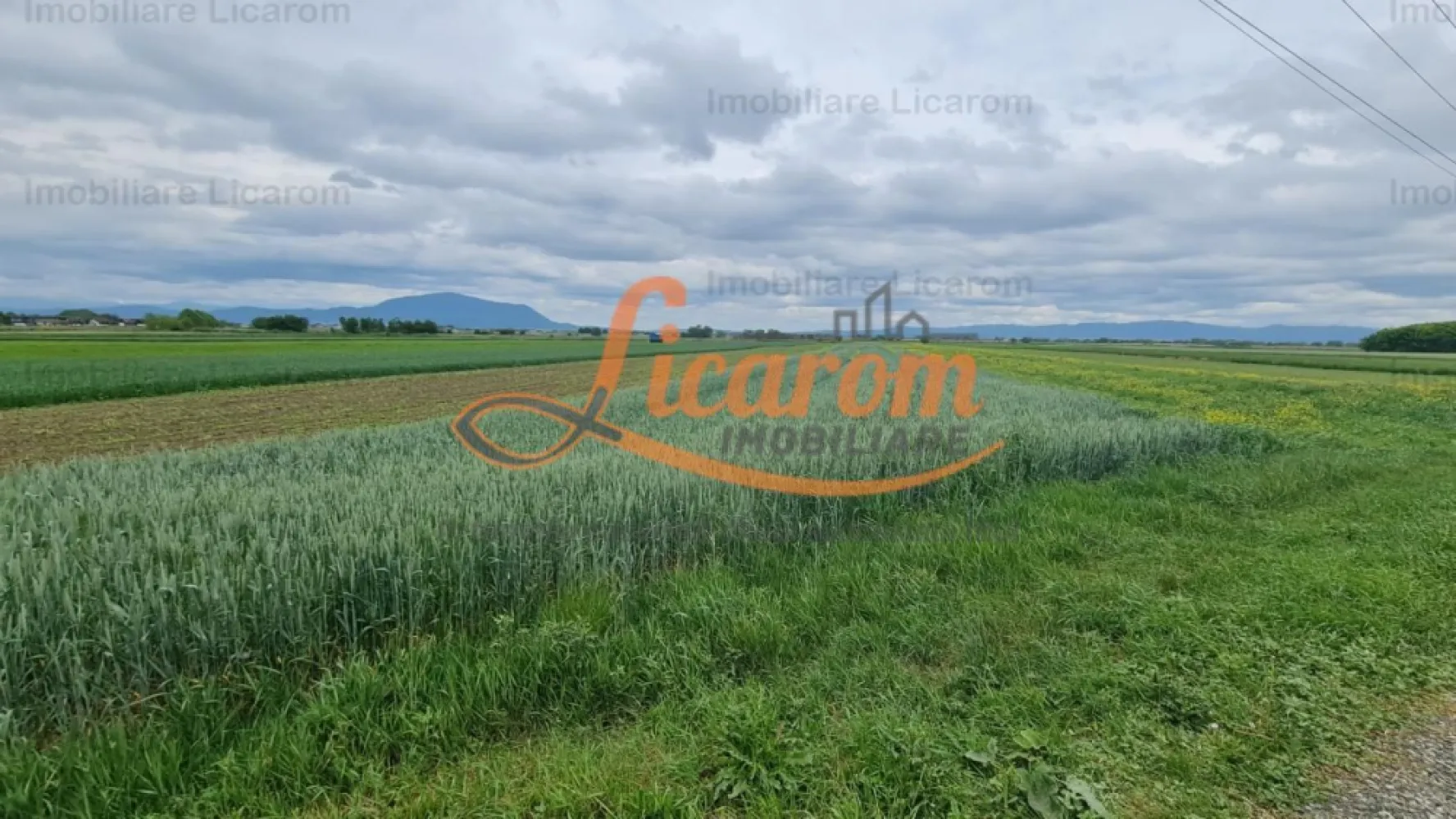 Teren Stupini Calea Feldioarei 11800 mp,25 euro/mp, front la asfalt-DN - Agentia Licarom Imobiliare propune spre vanzare un teren in suprafata de 11800 mp la iesirea din Brasov - Stupini, pe DN 13 .
Terenul este plan si are o deschidere la asfalt la E 60 de 44 ml. .
Zona pretabila SPALATORIE SELF SERVICE, SHOWROOM, HALE PT INDUSTRIE,sI ALTE TIPURI DE DEZVOLTARE IMOBILIARA (in apropiere se afla Cartierul de vile, exclusivist "STUPINII NOI") .
Momentan terenul este incadrat in categoria agricol extravilan ,existand posibiliatatea schimbarii destinatiei si incadrarii in intravilan, in baza realizarii unui PUZ .
In zona exista utilitati : curent electric,gaz,apa,peste drum fiind sediul unei firme mari.

Pretul este de 25 euro/ mp .
Pentru tranzactionarea acestei proprietati,agentia imobiliara percepe comision de 3%.

Pentru mai multe relatii si vizionari,nu ezitati sa ne contactati la telefon Consultant imobiliar Calin. 0741059397 si 0723985424 Consultant Imobiliar Liliana