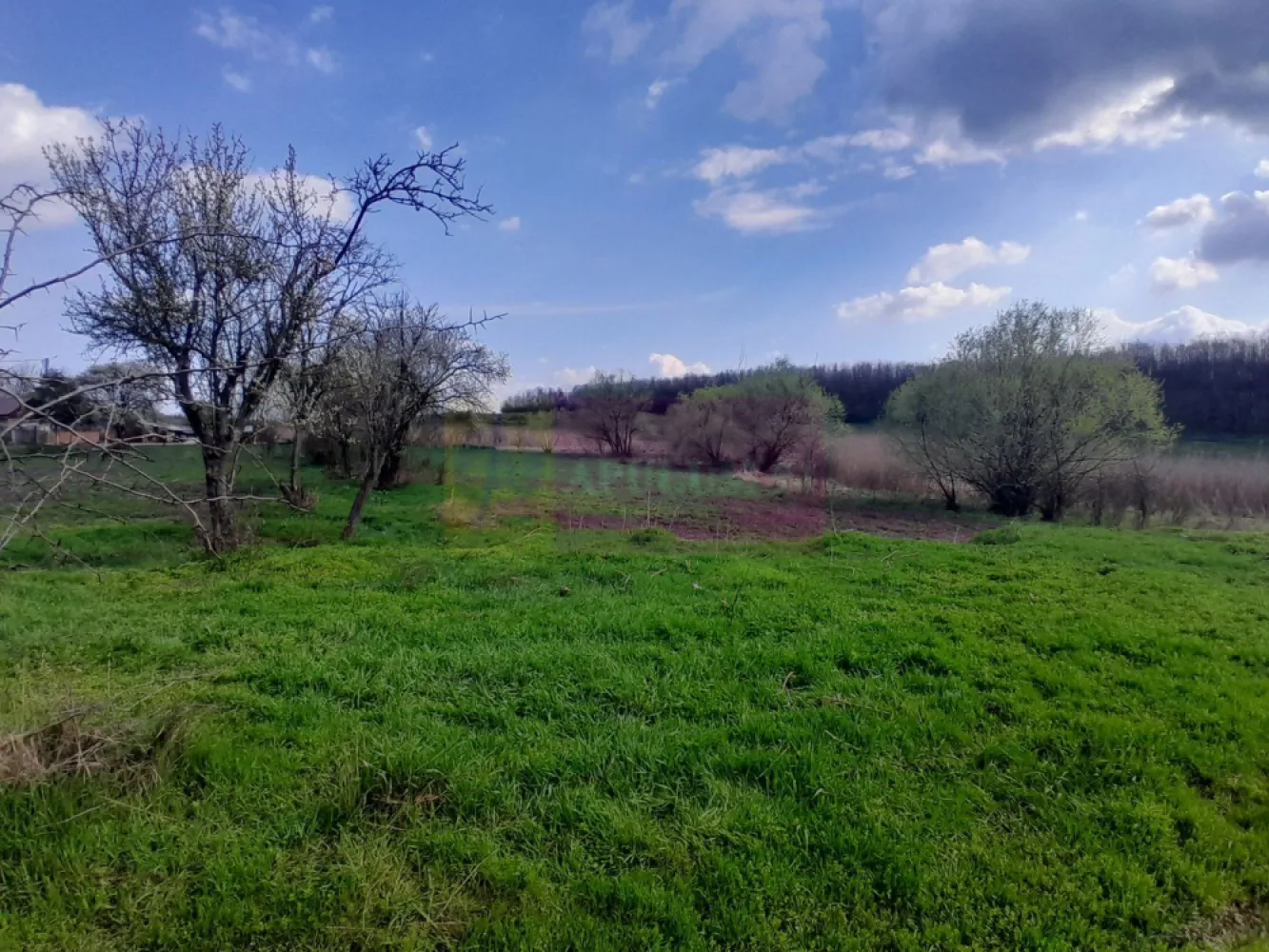 DE VANZARE TEREN 3400 MP IN SAT PODU ILFOVAT / COM BUTURUGENI (GR)
