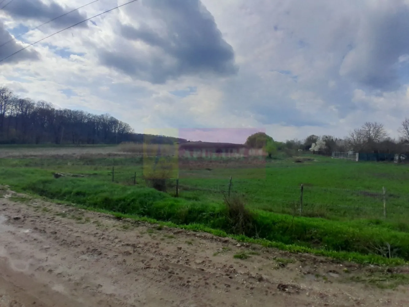 DE VANZARE TEREN 3400 MP IN SAT PODU ILFOVAT / COM BUTURUGENI (GR)