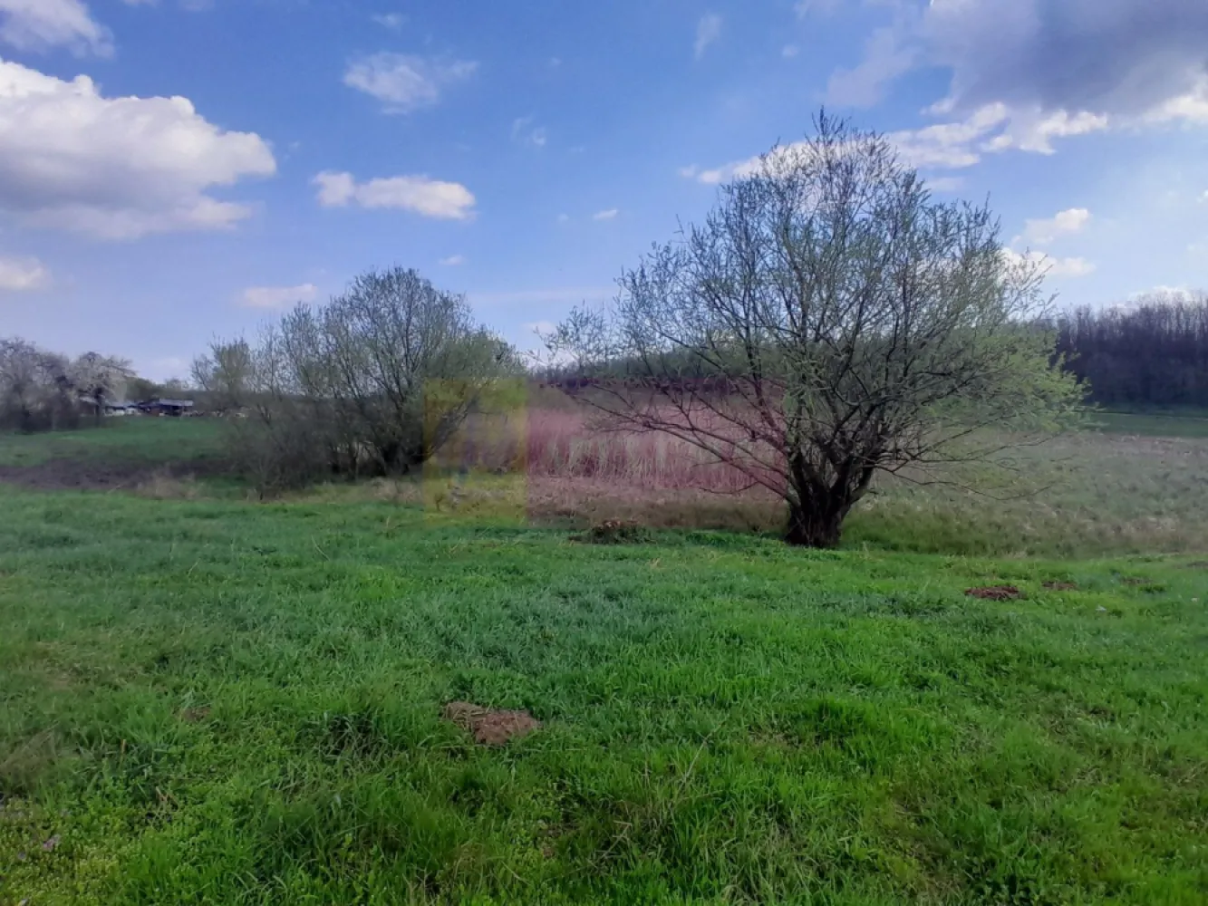 DE VANZARE TEREN 3400 MP IN SAT PODU ILFOVAT / COM BUTURUGENI (GR)