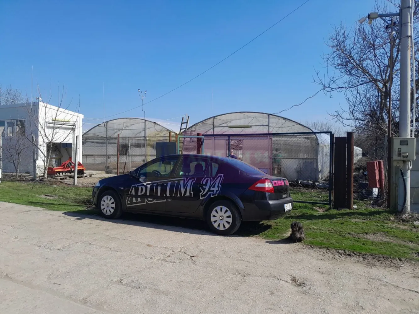 VANZARE TEREN 3100 MP - SAT ROSIORI (IL) - Compania imobiliara Apulum94 are placerea de a va propune spre vanzare un teren situat pe strada Zorilor in sat ROSIORI din jud. Ialomita., in suprafata de 3144 mp pe care se afla edificata o sera (2200 mp). si o anexa pt diverse scule. 

Terenul este pretabil pentru orice proiect. Utilitatile, prezente in proximitatea terenului, exista doar sub forma de curent electric si apa de la put propriu. Proprietarul este persoana juridica.

Terenul se vinde cu sera si utilaje specifice incluse in pret; proprietatea se elibereaza la 01.10.2026.

Zona si vecinii sunt linistiti. Cei care vor un loc sa-si incarce bateriile dupa o saptamana agitata in oras, sigur vor aprecia acest coltisor de Rai. 

La nevoie, putem facilita și achiziționarea prin credit ipotecar prin intermediul partenerilor.

Pentru mai multe detalii despre oferta prezentata sau alte oferte similare, astept cu maxim interes sa ma contactati la numarul de telefon din anunt sau pe Whatsapp. 

Cu respect, 

Aurelian Popescu / 0733.683.456 / Apulum94