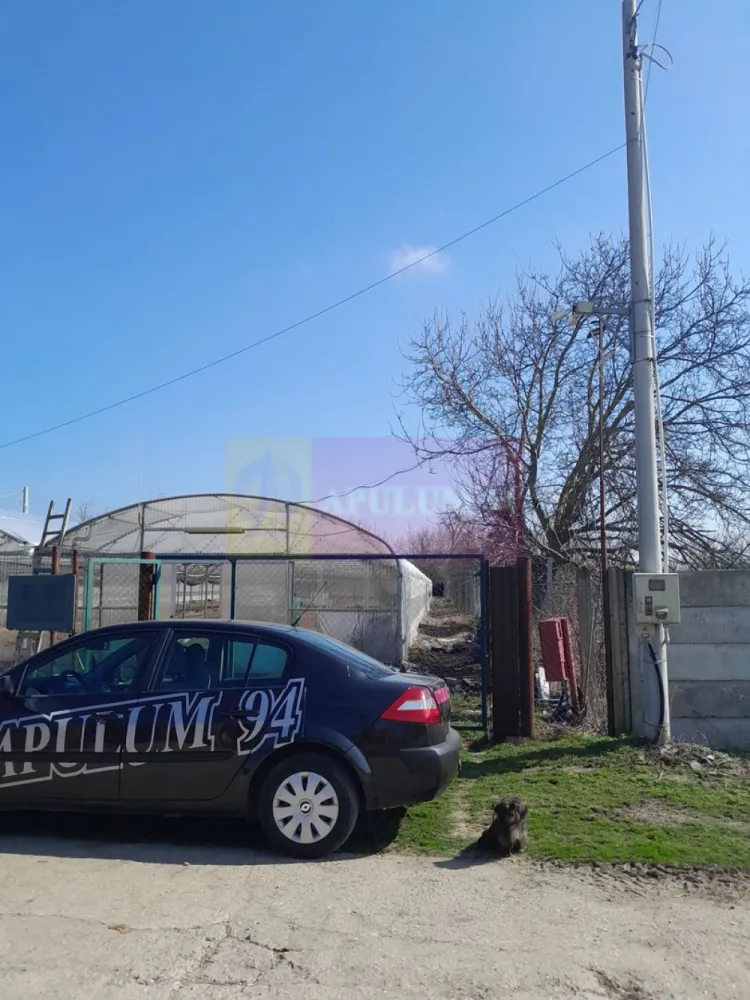 VANZARE TEREN 3100 MP - SAT ROSIORI (IL) - Compania imobiliara Apulum94 are placerea de a va propune spre vanzare un teren situat pe strada Zorilor in sat ROSIORI din jud. Ialomita., in suprafata de 3144 mp pe care se afla edificata o sera (2200 mp). si o anexa pt diverse scule. 

Terenul este pretabil pentru orice proiect. Utilitatile, prezente in proximitatea terenului, exista doar sub forma de curent electric si apa de la put propriu. Proprietarul este persoana juridica.

Terenul se vinde cu sera si utilaje specifice incluse in pret; proprietatea se elibereaza la 01.10.2026.

Zona si vecinii sunt linistiti. Cei care vor un loc sa-si incarce bateriile dupa o saptamana agitata in oras, sigur vor aprecia acest coltisor de Rai. 

La nevoie, putem facilita și achiziționarea prin credit ipotecar prin intermediul partenerilor.

Pentru mai multe detalii despre oferta prezentata sau alte oferte similare, astept cu maxim interes sa ma contactati la numarul de telefon din anunt sau pe Whatsapp. 

Cu respect, 

Aurelian Popescu / 0733.683.456 / Apulum94