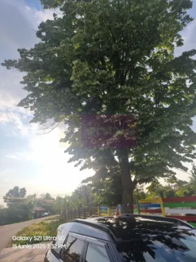 VANZARE TEREN 2150 MP IN SAT TEISORI (GR)