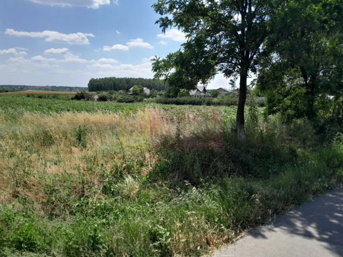 DE VANZARE 2 LOTURI LIPITE (TOTAL 16.500 MP) IN SAT TEISORI (GR) - Compania imobiliara Apulum94 are placerea de a va propune spre vanzare doua terenuri alipite situate in sat Teisori, de 8400 mp unul si celalalt de 8200 mp cu deschidere totala 142 ml. 

Terenurile sunt intravilane si sunt pretabile pentru multiple variante in ochii unui antreprenor cu viziune. 

Utilitatile din fata terenului sunt prezente. 

Pentru mai multe detalii despre oferta prezentata sau alte oferte similare, astept cu maxim interes sa ma contactati la numarul de telefon din anunt sau pe Whatsapp 

Cu respect, 

Agent Imobiliar Aurelian Popescu / 0733.683.456 

Apulum94 – Un partener de cursa lunga!