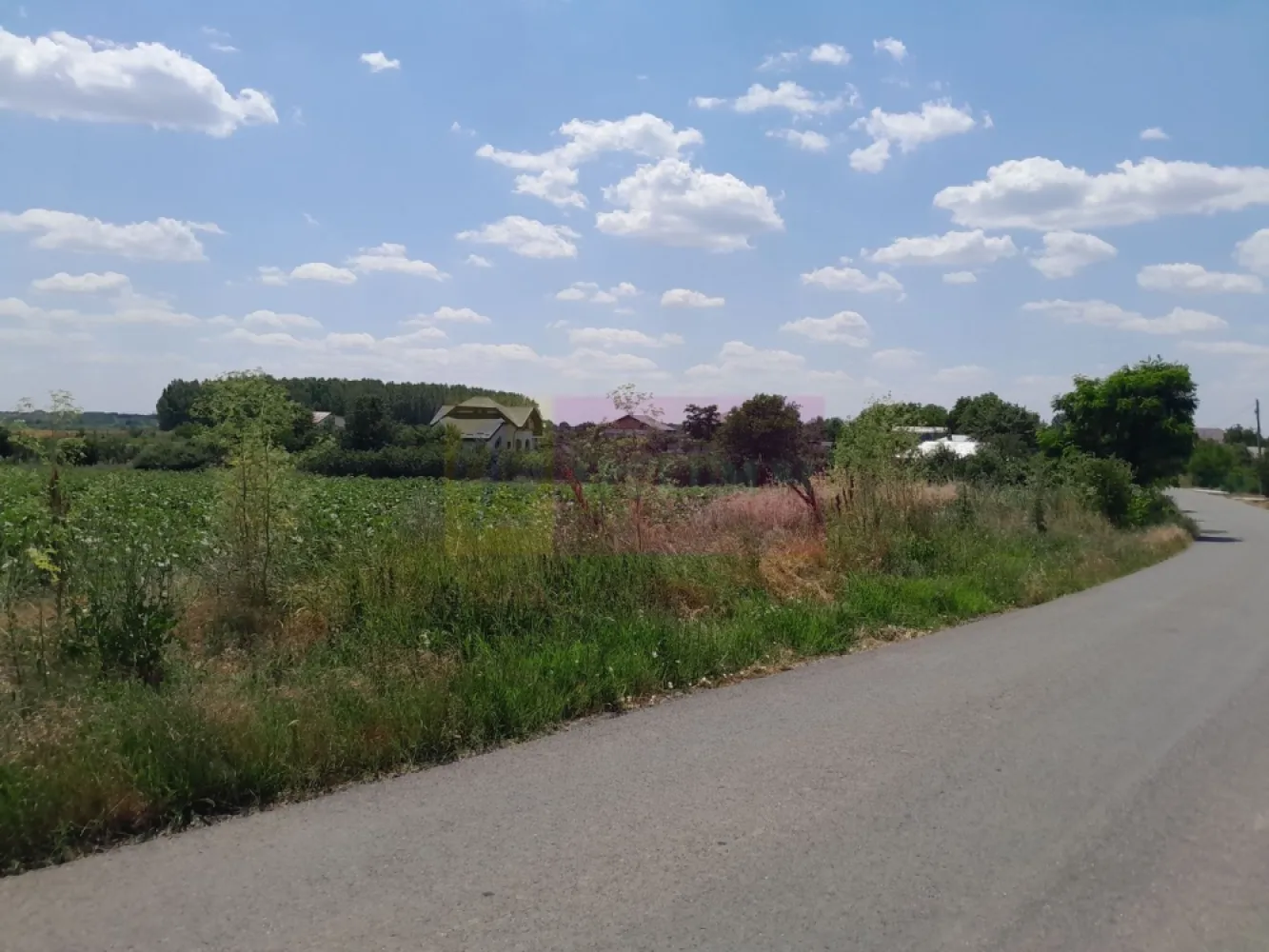 DE VANZARE 2 LOTURI LIPITE (TOTAL 16.500 MP) IN SAT TEISORI (GR) - Compania imobiliara Apulum94 are placerea de a va propune spre vanzare doua terenuri alipite situate in sat Teisori, de 8400 mp unul si celalalt de 8200 mp cu deschidere totala 142 ml. 

Terenurile sunt intravilane si sunt pretabile pentru multiple variante in ochii unui antreprenor cu viziune. 

Utilitatile din fata terenului sunt prezente. 

Pentru mai multe detalii despre oferta prezentata sau alte oferte similare, astept cu maxim interes sa ma contactati la numarul de telefon din anunt sau pe Whatsapp 

Cu respect, 

Agent Imobiliar Aurelian Popescu / 0733.683.456 

Apulum94 – Un partener de cursa lunga!
