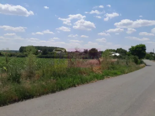 DE VANZARE 2 LOTURI LIPITE (TOTAL 16.500 MP) IN SAT TEISORI (GR)
