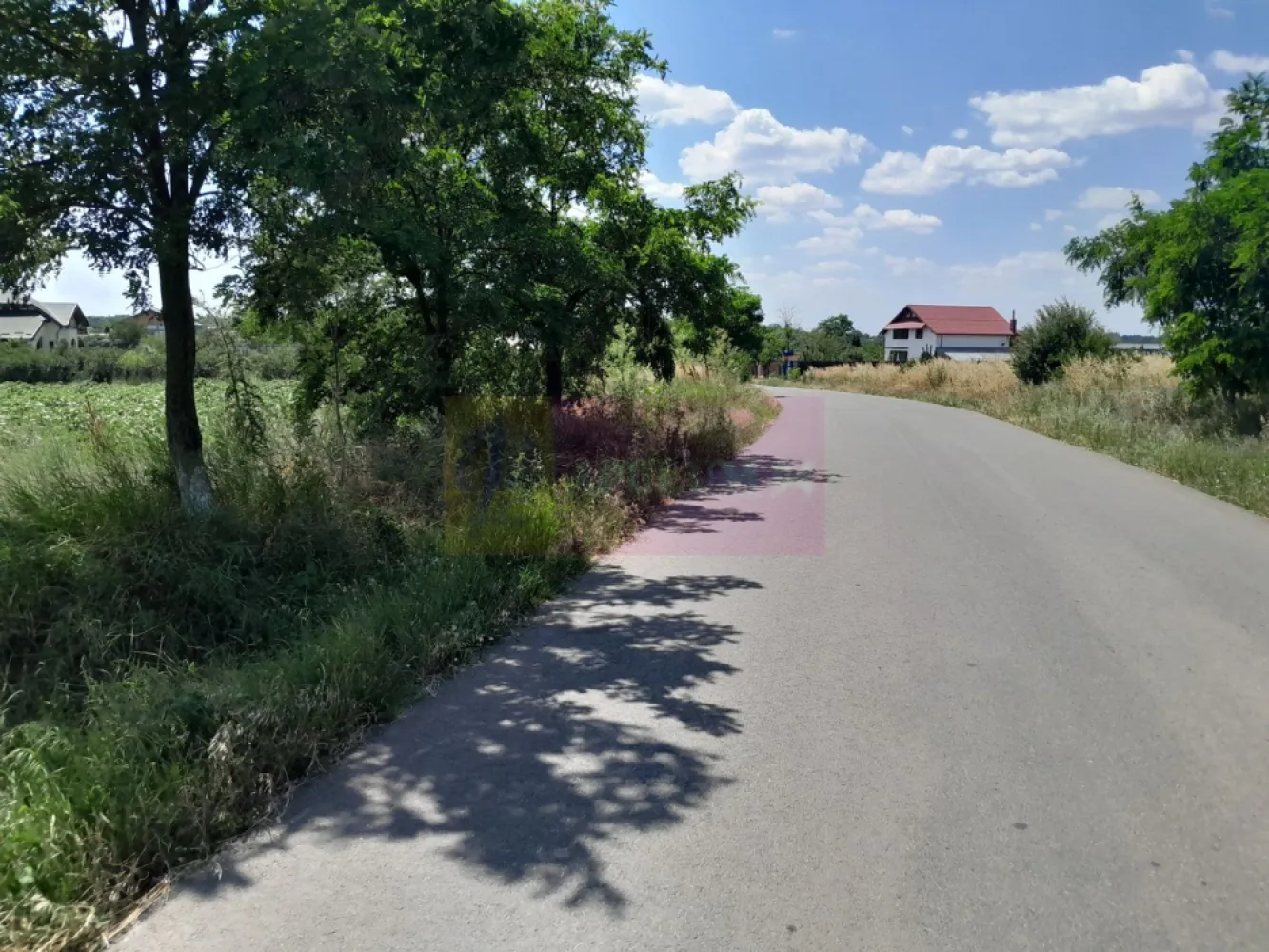 DE VANZARE 2 LOTURI LIPITE (TOTAL 16.500 MP) IN SAT TEISORI (GR) - Compania imobiliara Apulum94 are placerea de a va propune spre vanzare doua terenuri alipite situate in sat Teisori, de 8400 mp unul si celalalt de 8200 mp cu deschidere totala 142 ml. 

Terenurile sunt intravilane si sunt pretabile pentru multiple variante in ochii unui antreprenor cu viziune. 

Utilitatile din fata terenului sunt prezente. 

Pentru mai multe detalii despre oferta prezentata sau alte oferte similare, astept cu maxim interes sa ma contactati la numarul de telefon din anunt sau pe Whatsapp 

Cu respect, 

Agent Imobiliar Aurelian Popescu / 0733.683.456 

Apulum94 – Un partener de cursa lunga!