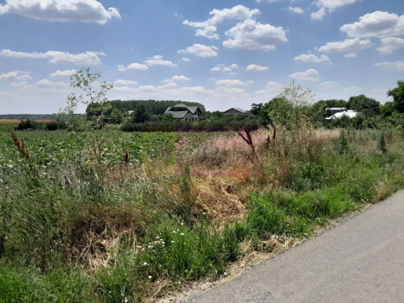 DE VANZARE 2 LOTURI LIPITE (TOTAL 16.500 MP) IN SAT TEISORI (GR)