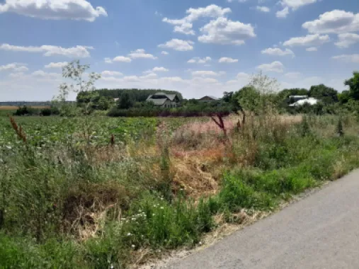 DE VANZARE 2 LOTURI LIPITE (TOTAL 16.500 MP) IN SAT TEISORI (GR)