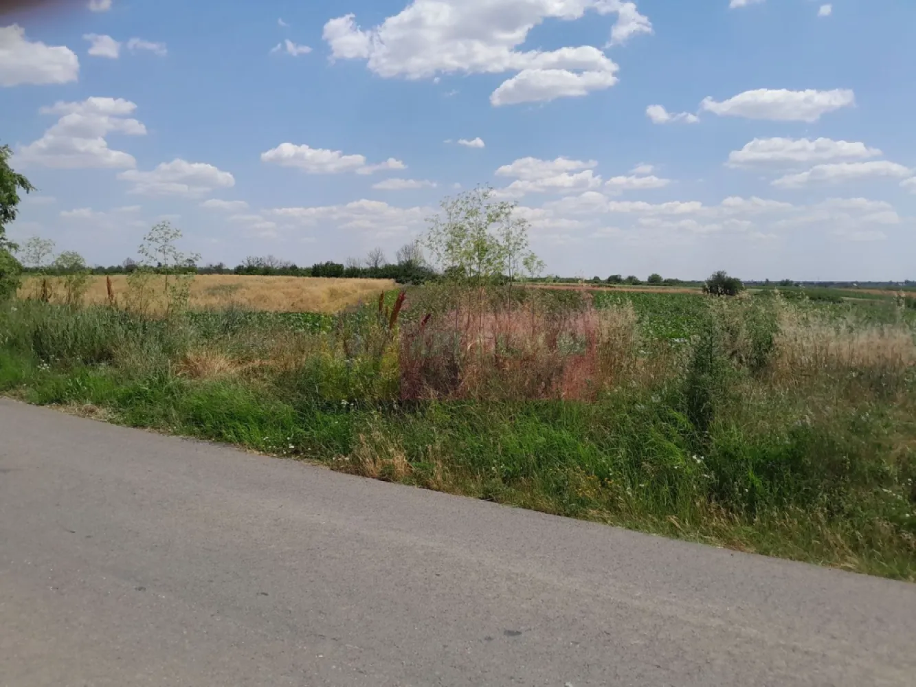 DE VANZARE 2 LOTURI LIPITE (TOTAL 16.500 MP) IN SAT TEISORI (GR)