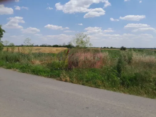 DE VANZARE 2 LOTURI LIPITE (TOTAL 16.500 MP) IN SAT TEISORI (GR)
