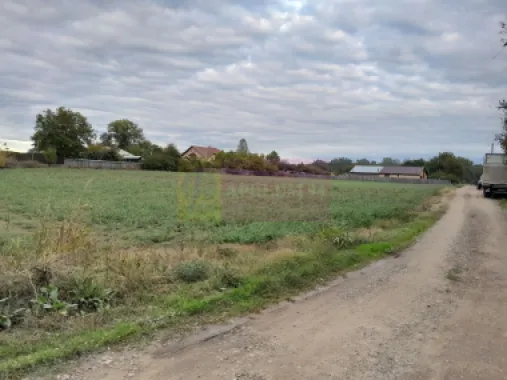 DE VANZARE TEREN 2000 MP - COSERENI( il )