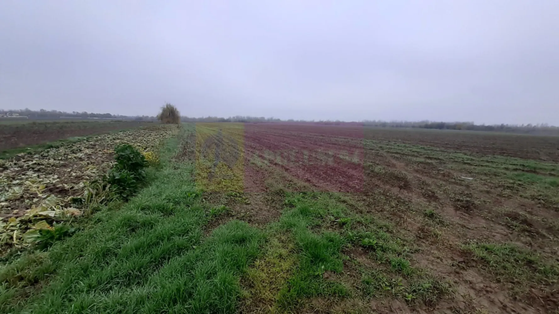 Teren Investiție aproape de București - Teren 2250mp aflat la 15 minute de București în localitatea 1 Decembrie bun pentru investiție. Terenul se află la 200ml de strada Artiștilor, stradă asfaltată și care se bucură de toate utilitățile (apă curent gaz canalizare) și la 1km de intersecția Artiștilor cu DN5 (giratoriul unde se află Supermarketul Lidl) iar la mai puțin de 500ml se află Râul Argeș. Terenul se află între două străzi neamenajate - Strada Codrului și Strada Zăvoiului și este format din două loturi alăturate. Deschiderea la drum este de 11ml, deschidere dublă, și la Codrului și la Zăvoiului și are o adâncime de 200 ml. În prezent terenul se află lângă două grădini de legume și se poate exploata pentru agricultură sau folosi pentru depozitare sau diferite activități evident nepoluante deoarece la nici 300ml sunt locuințe. Proprietar persoană fizică. Pentru mai multe detalii și programare de vizionări nu ezitați să contactați consultantul Apulum94 Daniel Duta.