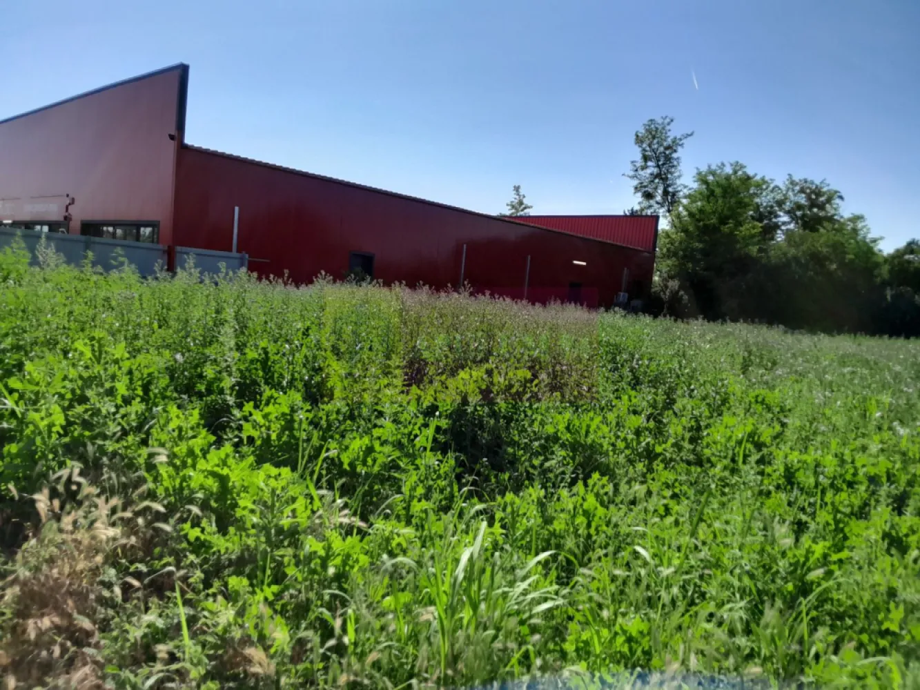 Inch teren cu 0.5 eur/mp/luna in Movilita/ Ialomita - Compania imobiliara Apulum94 va aduce in atenttie pentru inchiriere teren intravilan de 1800 mp in com. Movilita, jud. Ialomita, mai exact pe strada Calea Bucuresti (sos. Bucuresti - Urziceni) situat la doar 40 km distanta de Bucuresti (langa Profi).

Terenul are front de aproximativ 40 m cu acces la strada asfaltata si se preteaza pentru:

-parc auto

-parc utilaje

-depozit materiale de constructii

- spalatorie auto self service

- activitati agricole / sere (terenul este exceptional de fertil) .

- parcare tiruri

- alte activitati economice

Acces facil si vad comercial bun, fiind situat la strada principala.

Pentru informatii suplimentare sau pentru a programa o vizionare va astept mesajele.

Apulum94 - Un partener de cursa lunga!
Agent imobiliar: Aurelian Popescu (0733.683.456)
