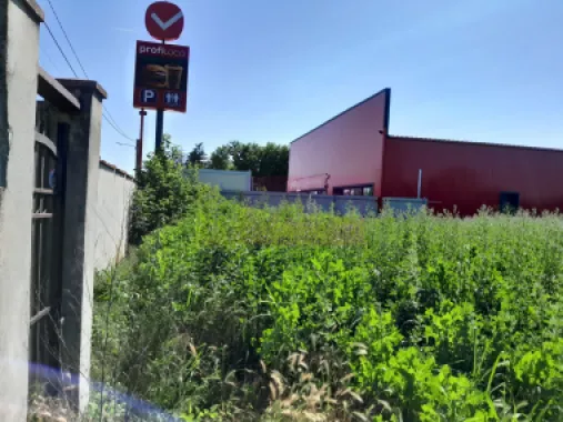 Inch teren cu 0.5 eur/mp/luna in Movilita/ Ialomita