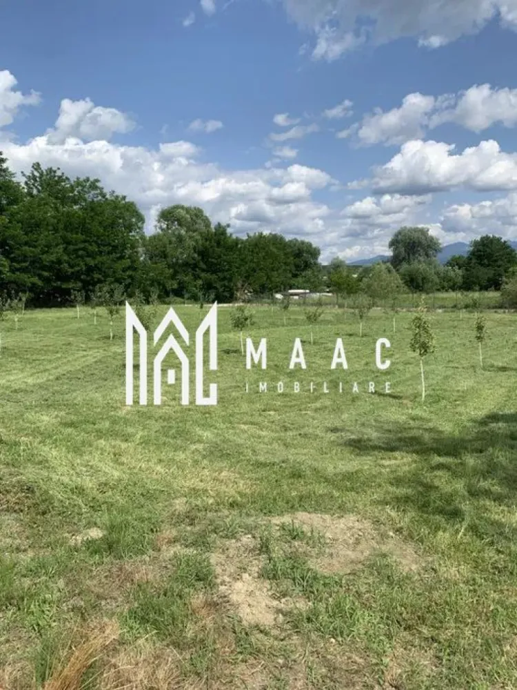 Hala Industrială | Teren 5000 mp | Marșa - MAAC Imobiliare vă propune spre vânzare sau închiriere o hală industrială modernă, situată strategic la intrarea în localitatea Marșa, la doar 100 m de viitoarea autostradă Sibiu–Făgăraș, poziție ce oferă acces rapid și vizibilitate excelentă.

Proprietatea funcționează în prezent ca service auto / vulcanizare / spălătorie self-service și este dotată integral cu echipamente profesionale necesare activităților de service auto, stație ITP și vulcanizare.
Hala poate fi preluată cu activitatea existentă sau poate fi adaptată pentru alte destinații: depozitare, producție, logistică, atelier etc.

Caracteristici principale

Suprafață teren: 5.000 mp (împrejmuit complet cu gard metalic, fundație beton și panouri bordurate)

Construcție finalizată în 2019

Structură metalică, panouri sandwich 10 cm, tâmplărie PVC

Spațiu interior compartimentat: birouri, recepție clienți, vestiar, spații depozitare, 2 grupuri sanitare

Curte pavată

Acces TIR

3 porți secționale

Poartă automată la intrare

Sistem de supraveghere video și antiefracție

Curent trifazic, apă curentă, canalizare

Încălzire centrală (aeroterme + calorifere)

Șapă elicopterizată

Utilizări recomandate

service auto / ITP / vulcanizare

depozit / logistică

mică producție

spălătorie auto

activități comerciale / industriale

Pentru informații suplimentare sau pentru a programa o vizionare, vă rugăm să ne contactați și să specificați ID:CP2831857
