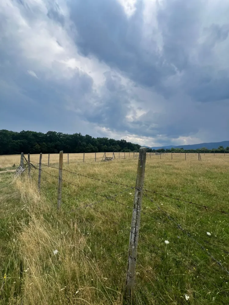Teren extravilan Cisnadie, Str. Selimbarului – 2.380 mp - Descopera un teren deosebit, situate intr-o zona linistita si aproape de natura, langa padure, ideal pentru investitii pe termen lung sau pentru viitoare proiecte de dezvoltare.&nbsp;Detalii principale:Suprafata: 2.380 mpDeschidere la 2 drumuri ( 25 ml la unul dintre ele)Acces facil din Cisnadie si SelimbarZona linistita, cu aer curat si priveliste superbaPret: 40 euro/mp Comision 0% pentru comparator!