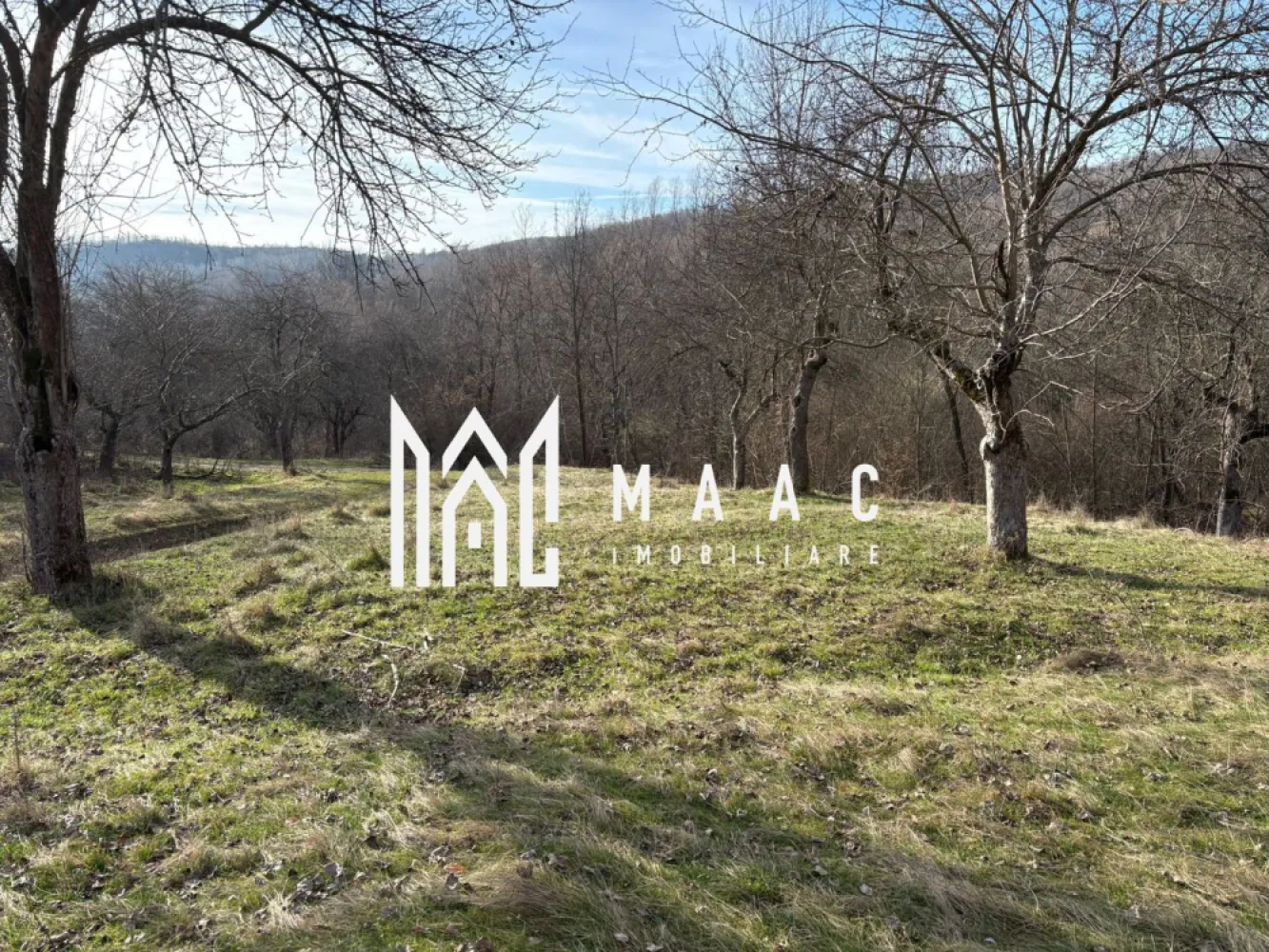 Teren de vânzare, 7750 mp I Orientare sudică I Caineni - MAAC Imobiliare va propune spre vânzare 7700 mp de teren în comuna Caineni la marginea satului Greblesti.

Terenul are o usoara inclinatie, iar suprafata are o forma patrata 80/97 mp.

Este situat la 2 km de drumul național, râul Olt și viitoarea autostradă Sibiu -București.

Accesul este ușor pe un drum de pământ, curentul se află la o distanță de aproximativ 200 m.

Se accepta si schimb cu Auto...

Pentru mai multe detalii precizați ca ati văzut anunțul cu ID CP2874139