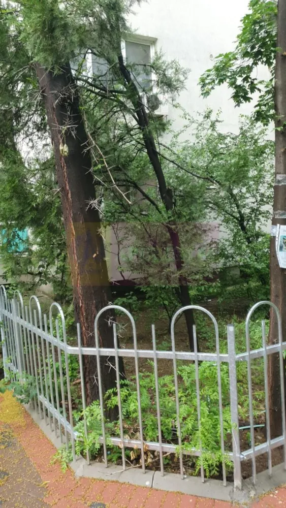 Garsoniera in zona Policlinica Titan-Nicolae Grigorescu - Agentia Imobiliara Apulum, va ofera spre vanzare
Garsoniera intr-o zona verde a Bucurestului, langa Policlinica Titan, pe strada Prisaca Dornei
Locuinta se afla la etajul 3 din 10 intr un bloc din 1967, reabilitat termic, geamuri tripan, cu vedere spre zona verde (parc)
Aceasta a fost renovata recent cu instalatia sanitara si electrica, inlocuite.
Se vinde mobilata cu dresing, pat cu saltea cu memorie Salterra si electrocasnice Electrolux, aproape noi
Obiectele sanitare sunt marca Roca iar usile marca Portadors
Zona este bine conectata la mijloacele de transport, distanta pana la metroul Nicolae Grigorescu sau Titan se parcurge pe jos in aproximativ 12 minute.
De asemenea in apropriere se afla Complexul Auchan, Titan Rasarit de Soare, numeroase scoli si gradinite.
Blocul este inconjurat de multa verdeta fiind o zona linistita.
Gata de mutare, imediat