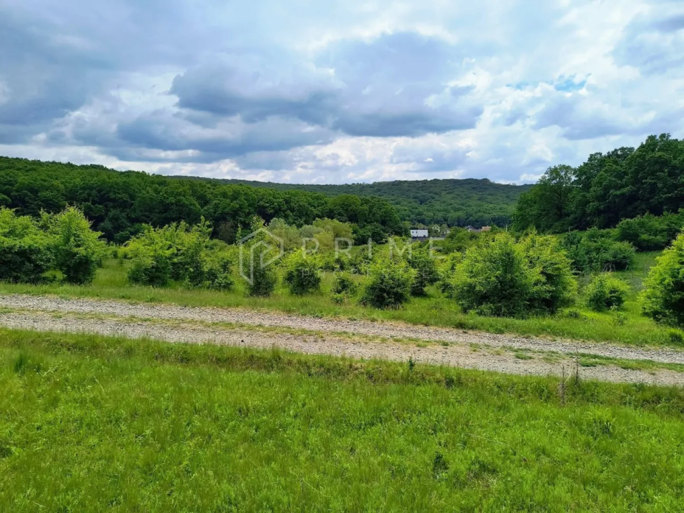 Oportunitate de investiție – 4 parcele în Corunca, 20 €/mp - Parcele de teren de vânzare – Corunca, zona Vatzman
Natură, panoramă și potențial excelent pentru investiție sau dezvoltare

Vă propunem spre vânzare 4 parcele de teren situate în Corunca, zona Vatzman, una dintre cele mai frumoase și apreciate zone din apropierea Târgu Mureșului. Proprietățile beneficiază de un cadru natural deosebit, cu panoramă superbă, apropiere de pădure și multă liniște, fiind ideale atât pentru investiție, cât și pentru dezvoltare rezidențială.

 Suprafață parcele: aproximativ 2.900 mp fiecare
 Configurație:

3 parcele sunt poziționate una lângă alta
1 parcelă este separată

💶 Preț: 20 €/mp

Avantaje competitive:
Zonă cu potențial ridicat de dezvoltare
Priveliște panoramică și apropiere de natură
Locație ideală pentru proiect rezidențial sau investiție pe termen lung
Acces facil către Târgu Mureș
Posibilitate de achiziție individuală sau împreună
Potrivit pentru:
Dezvoltatori imobiliari
Construcție case premium sau complex rezidențial
Investitori care caută teren într-o zonă în continuă dezvoltare
Proiecte turistice sau retreat în natură

🌲 Zona Vatzman oferă combinația perfectă între liniștea naturii și proximitatea față de oraș, fiind tot mai căutată pentru proiecte rezidențiale moderne.

📞 Pentru detalii suplimentare sau pentru programarea unei vizionări, vă invităm să ne contactați!

Promisiunea Prime Properties:
Vă oferim siguranță, transparență și servicii impecabile pe tot parcursul drumului către casa ideală. Dacă această proprietate nu corespunde nevoilor dumneavoastră, lăsați-ne să găsim alternativa potrivită stilului dumneavoastră de viață.

Pentru informații suplimentare și programarea unei vizionări, vă rugăm să ne contactați.