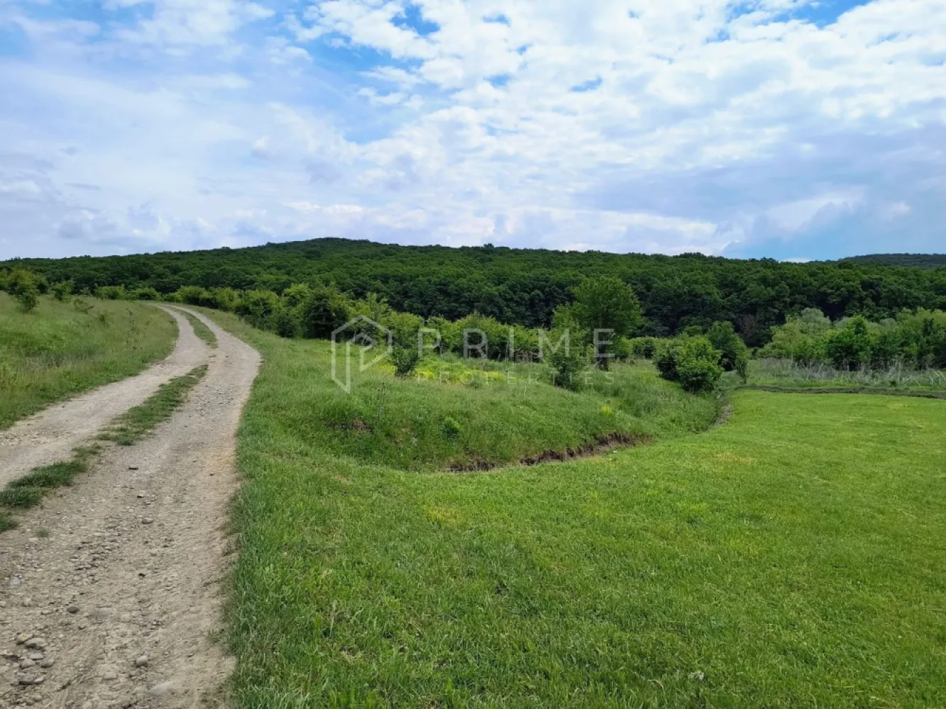 Oportunitate de investiție – 4 parcele în Corunca, 20 €/mp - Parcele de teren de vânzare – Corunca, zona Vatzman
Natură, panoramă și potențial excelent pentru investiție sau dezvoltare

Vă propunem spre vânzare 4 parcele de teren situate în Corunca, zona Vatzman, una dintre cele mai frumoase și apreciate zone din apropierea Târgu Mureșului. Proprietățile beneficiază de un cadru natural deosebit, cu panoramă superbă, apropiere de pădure și multă liniște, fiind ideale atât pentru investiție, cât și pentru dezvoltare rezidențială.

 Suprafață parcele: aproximativ 2.900 mp fiecare
 Configurație:

3 parcele sunt poziționate una lângă alta
1 parcelă este separată

💶 Preț: 20 €/mp

Avantaje competitive:
Zonă cu potențial ridicat de dezvoltare
Priveliște panoramică și apropiere de natură
Locație ideală pentru proiect rezidențial sau investiție pe termen lung
Acces facil către Târgu Mureș
Posibilitate de achiziție individuală sau împreună
Potrivit pentru:
Dezvoltatori imobiliari
Construcție case premium sau complex rezidențial
Investitori care caută teren într-o zonă în continuă dezvoltare
Proiecte turistice sau retreat în natură

🌲 Zona Vatzman oferă combinația perfectă între liniștea naturii și proximitatea față de oraș, fiind tot mai căutată pentru proiecte rezidențiale moderne.

📞 Pentru detalii suplimentare sau pentru programarea unei vizionări, vă invităm să ne contactați!

Promisiunea Prime Properties:
Vă oferim siguranță, transparență și servicii impecabile pe tot parcursul drumului către casa ideală. Dacă această proprietate nu corespunde nevoilor dumneavoastră, lăsați-ne să găsim alternativa potrivită stilului dumneavoastră de viață.

Pentru informații suplimentare și programarea unei vizionări, vă rugăm să ne contactați.
