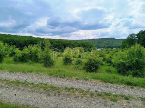 Oportunitate de investiție – 4 parcele în Corunca, 20 €/mp