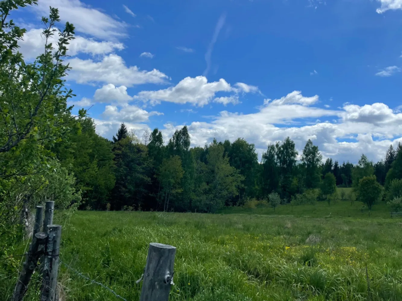 Refugiu in Apuseni-teren intravilan cu padure si priveliste -9403mp - Refugiu privat în inima Apusenilor.Proprietate rară în Călățele Pădure: teren intravilan cu pădure și panoramă amplă asupra naturii, într-o zonă cu liniște autentică și acces facil.Loc ideal pentru dezvoltarea unei cabane premium, a unui retreat boutique sau a unei proprietăți de vacanță pentru cei care caută intimitate, natură și priveliști spectaculoase.Acces rapid din drum asfaltat, utilități în apropiere, cadru natural excepțional.Un loc cu adevărat special, greu de replicat.N.B. Vanzatorul este persoana fizica.