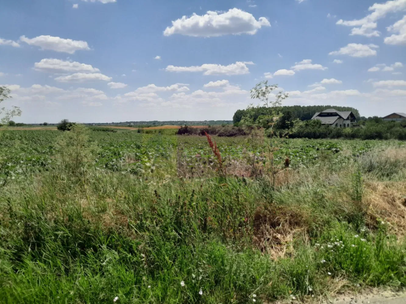 TEISORI /GR - 2 LOTURI LIPITE (TOT. 16500 MP) DE VZ 100K EUR NEG - Compania imobiliara Apulum94 are placerea de a va propune spre vanzare doua terenuri alipite situate in sat Teisori, de 8400 mp unul si celalalt de 8200 mp cu deschidere totala 142 ml. 

Terenurile sunt intravilane si sunt pretabile pentru multiple variante in ochii unui antreprenor cu viziune. 

Utilitatile din fata terenului sunt prezente. 

Pentru mai multe detalii despre oferta prezentata sau alte oferte similare, astept cu maxim interes sa ma contactati la numarul de telefon din anunt sau pe Whatsapp 

Cu respect, 

Agent Imobiliar Aurelian Popescu / 0733.683.456 

Apulum94 – Un partener de cursa lunga!