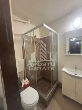 Apartament cu 1 cameră , de închiriat , Zona Aradului , Timișoara