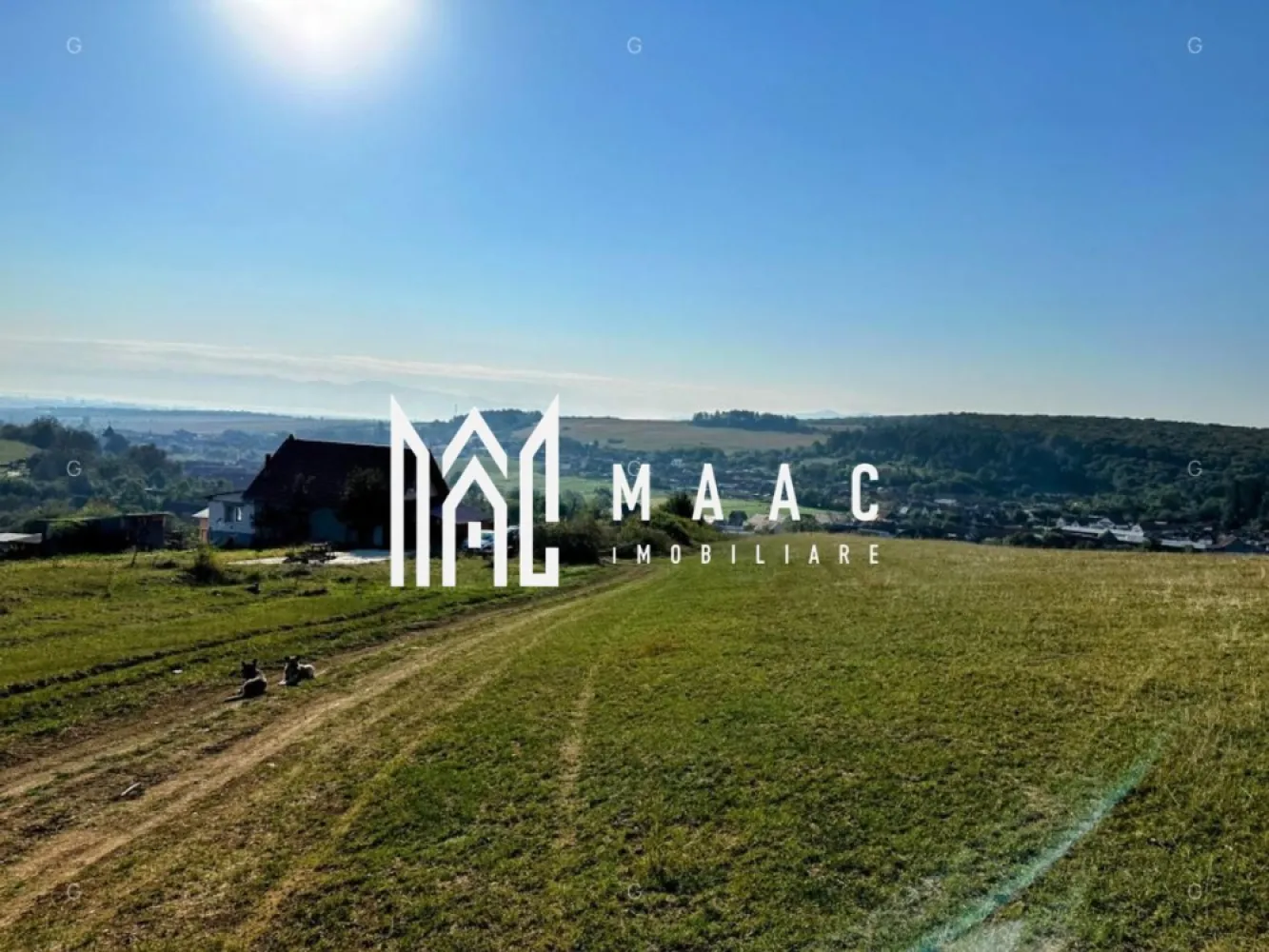 Teren | 651MP | Extravilan | Rusciori - MAAC Imobiliare vă propune spre achiziție un teren situat în localitatea Rusciori, o zonă aflată în plină expansiune, situată la o distanță de doar 10 minute de Sibiu. Această proprietate reprezintă o opțiune strategică atât pentru investiție pe termen mediu și lung, cât și pentru dezvoltări individuale cu caracter recreativ.

LOCALIZARE ȘI ACCESIBILITATE
Terenul este poziționat în imediata proximitate a vetrei satului Rusciori, beneficiind de un acces facil către rețeaua rutieră principală. Amplasarea oferă echilibrul ideal între liniștea specifică zonelor rurale și conectivitatea rapidă cu polul de business și servicii al Sibiului.

DETALII TEHNICE ȘI CONFIGURAȚIE
Proprietatea este disponibilă sub formă de 4 parcele distincte, oferind flexibilitate în alegerea suprafeței dorite:
Suprafețe disponibile: Între 614 mp și 651 mp.
Front stradal: 29,85 metri liniari (pentru parcela de 651 mp), asigurând o deschidere generoasă și multiple variante de sistematizare.
Categorie de folosință: Extravilan, arabil.
Utilități: Posibilitate de racordare la rețelele de utilități publice existente în localitatea Rusciori.

ANALIZA POTENȚIALULUI URBANISTIC
În prezent, terenul se pretează pentru destinații diverse:
Agrement și Relaxare: Configurația și amplasamentul sunt ideale pentru amenajarea unei grădini, a unei livezi sau a unui spațiu de recreere privat.
Investiție Rezidențială: Există potențialul tehnic de inițiere a unui Plan Urbanistic Zonal (PUZ) pentru introducerea terenului în intravilan, permițând ulterior construcția de locuințe sau case de vacanță.
Activități Agricole: Solul este pretabil pentru culturi de nișă sau pomicultură.

Pentru informații suplimentare, consultanță sau programarea unei vizionări, vă invităm să contactați specificând ID: CP2730499